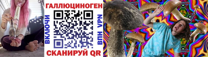 Галлюциногенные грибы мицелий  Пудож 