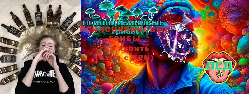 Галлюциногенные грибы Magic Shrooms Пудож